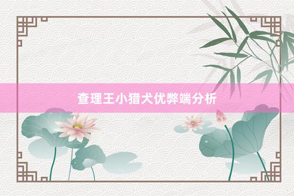 查理王小猎犬优弊端分析